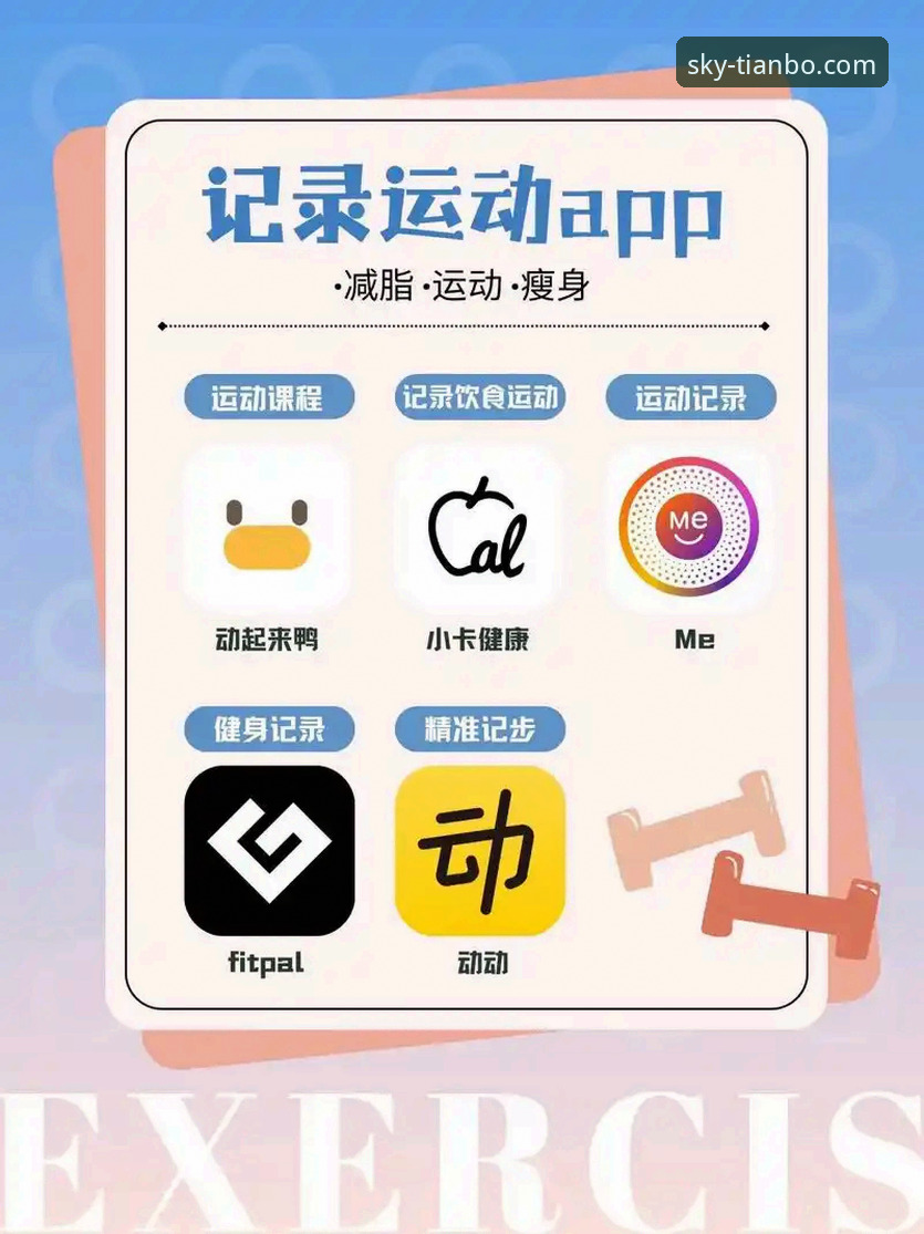 天博体育平台APP稳定版使用指南：从新手到高手的完整教程
